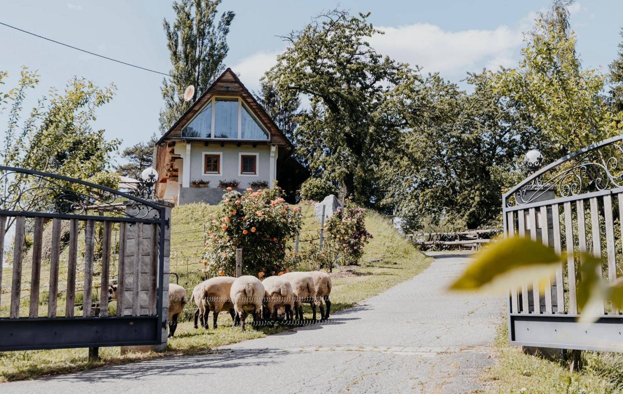 Ferienhaus Am Herbsthof Leutschach Kültér fotó