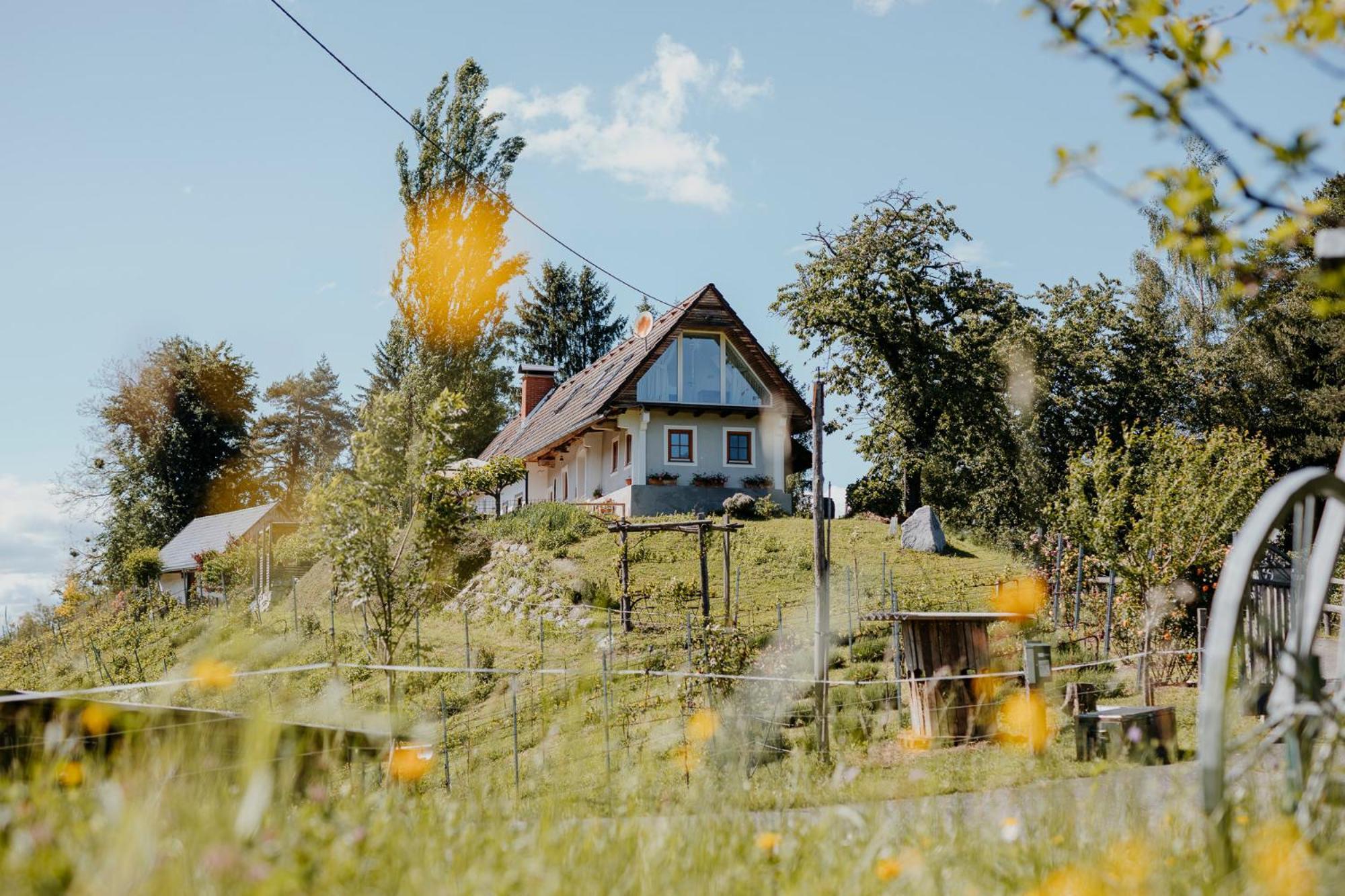 Ferienhaus Am Herbsthof Leutschach Kültér fotó