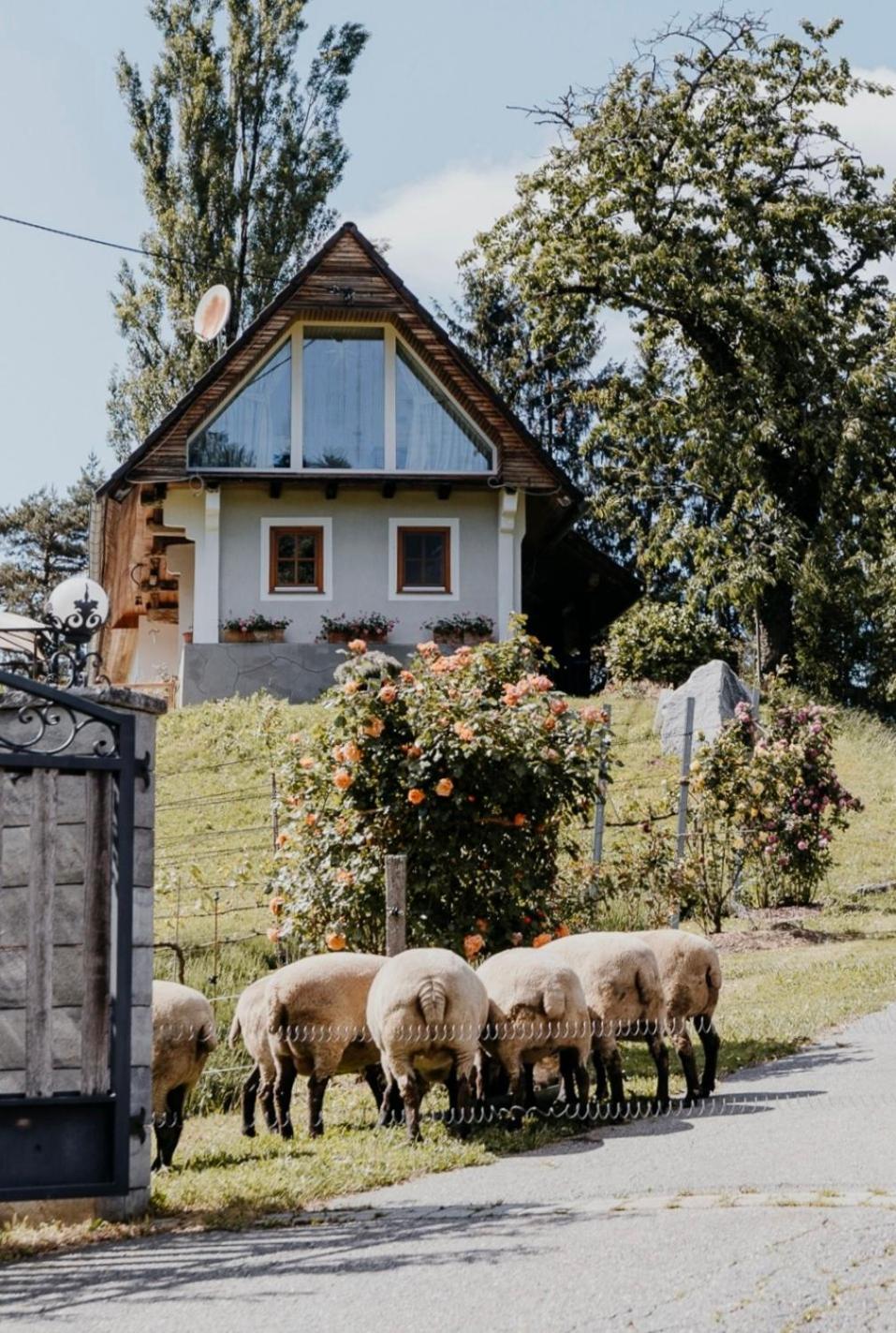 Ferienhaus Am Herbsthof Leutschach Kültér fotó